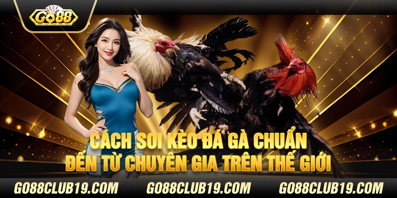 Cách soi kèo đá gà chuẩn đến từ chuyên gia trên thế giới