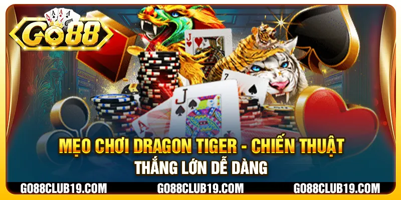 Mẹo chơi Dragon Tiger - Chiến thuật thắng lớn dễ dàng