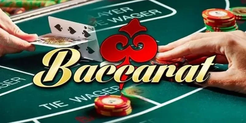 Tỷ lệ cược và lợi nhuận trong Baccarat